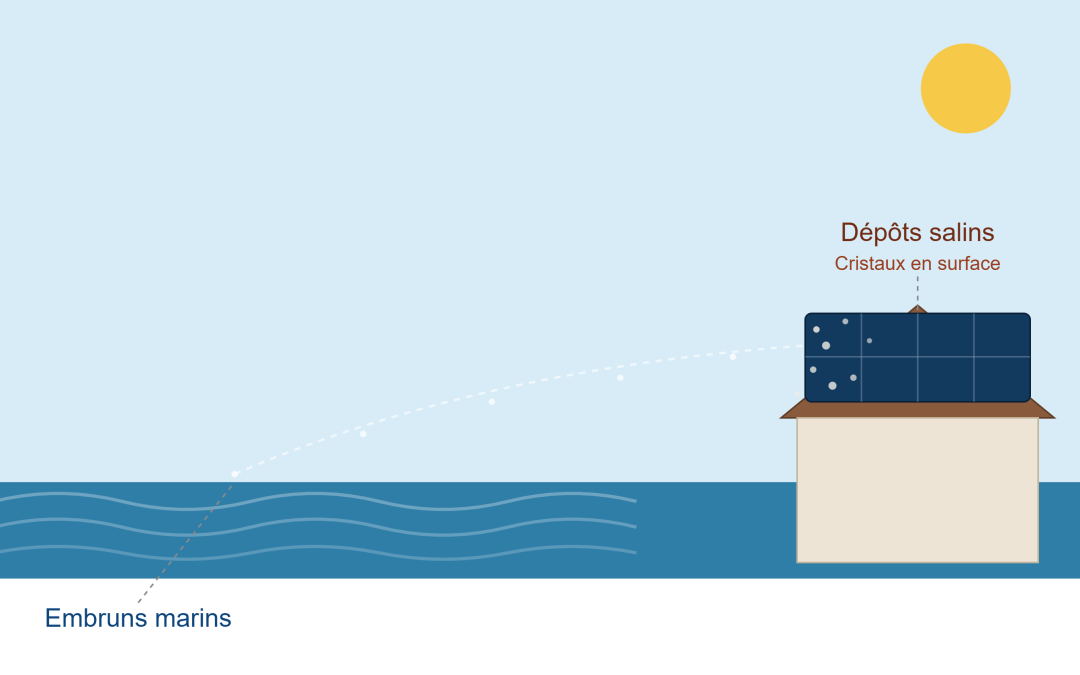 Panneaux solaires en bord de mer : le guide d&rsquo;entretien pour les installations côtières